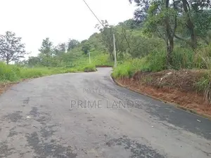 Land for Sale Pundaluoya