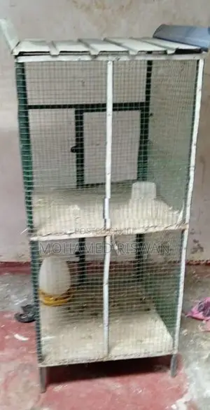 Bird Cage