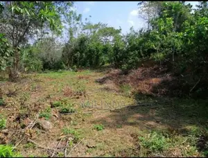 මාතර - කිරිමැටිමුල්ලේ වටිනා නේවාසික ඉඩමක් විකිණීමට