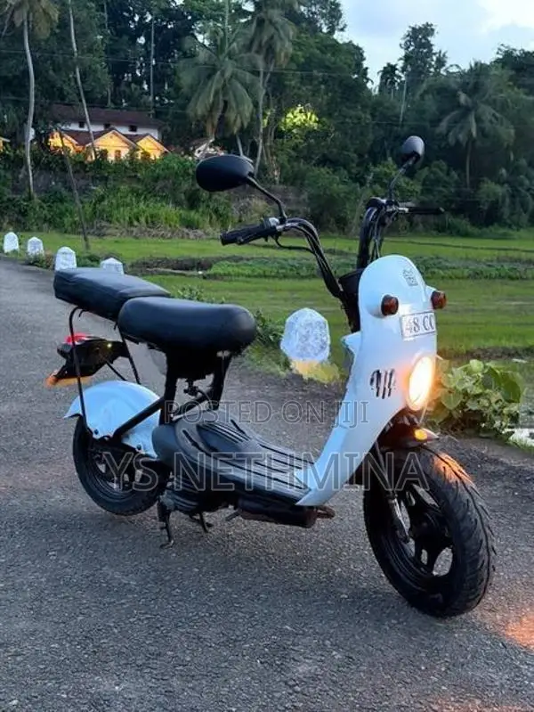Suzuki Choi Nori 2024