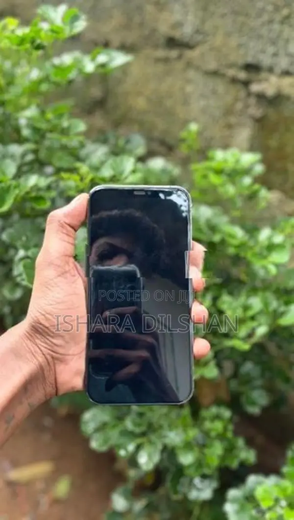 Apple iPhone 12 Pro Max (Used)