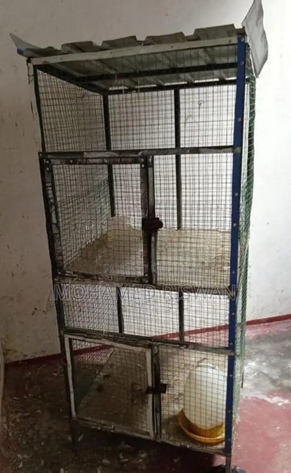 Bird Cage