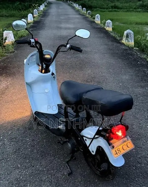 Suzuki Choi Nori 2024