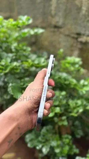 Apple iPhone 12 Pro Max (Used)