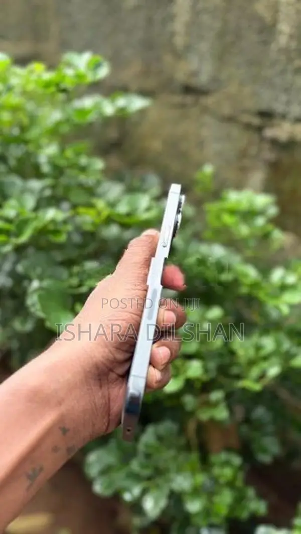Apple iPhone 12 Pro Max (Used)