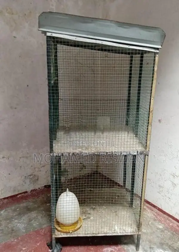 Bird Cage