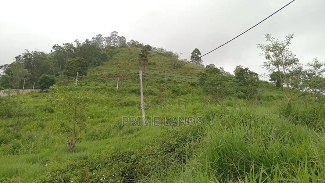 View Point Land for Sale Nuwara Eliya Road