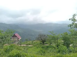 View Point Land for Sale Nuwara Eliya Road