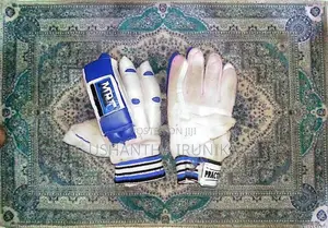 Cricket Equipment Set