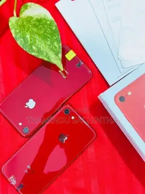 Apple iPhone 8 (Used)