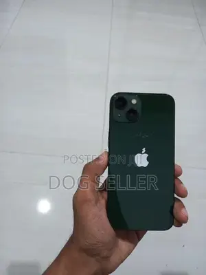 Apple iPhone 13 (Used)