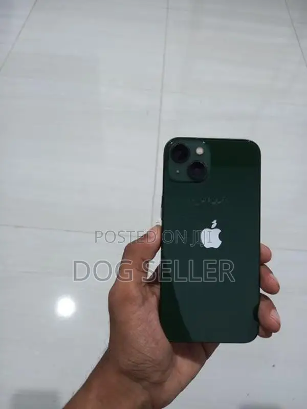 Apple iPhone 13 (Used)