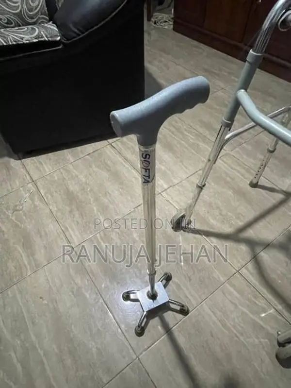 Walking Stick