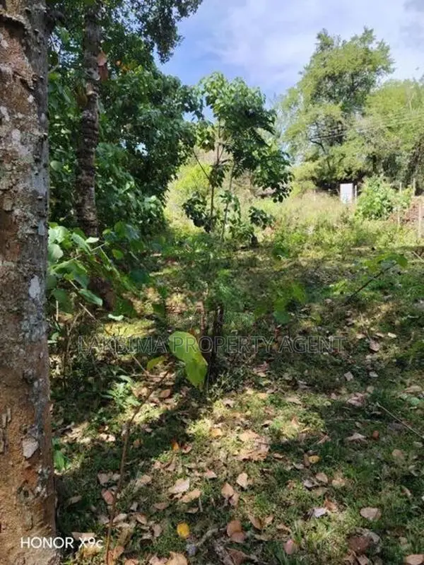 Land for Sale in Kandy Digana