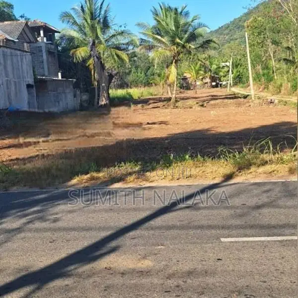 ඉඩමක් විකිණීමට බුත්තල