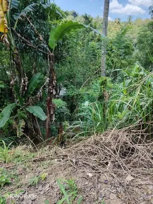 Land for Sale in Kandy Digana