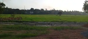 Battaramulla Paddy Field Facing 14.00 Perch Land for Sale