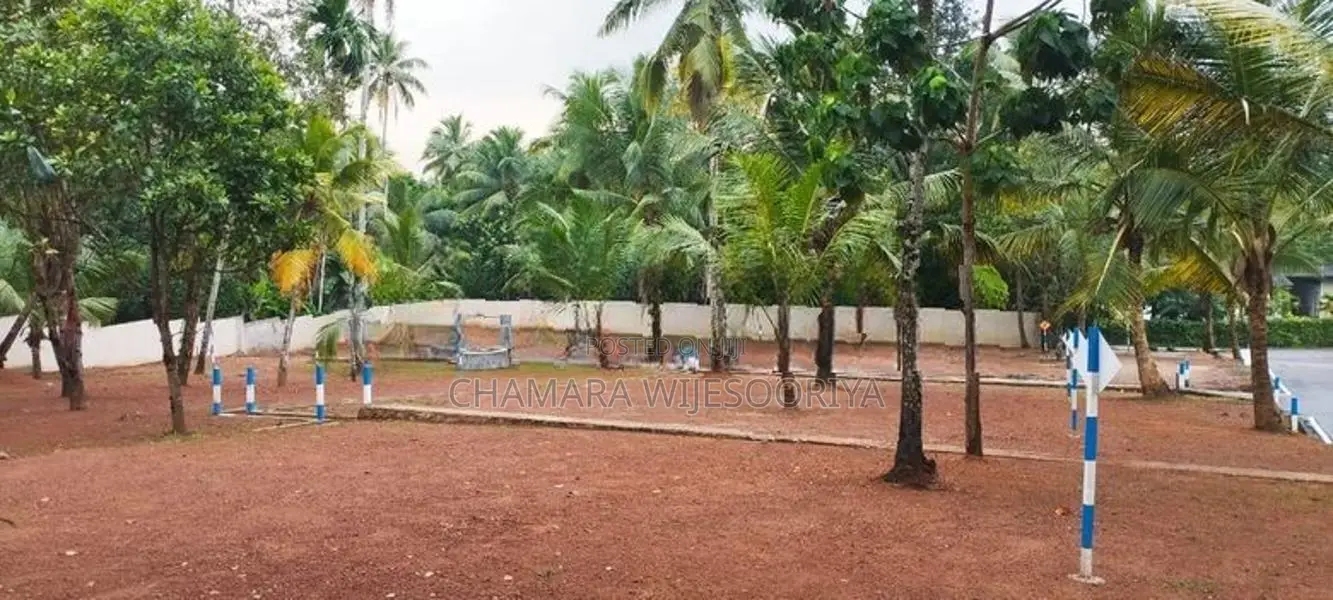 කඩවත - ගෝනහේන, වටිනා බිම් කොටසක්