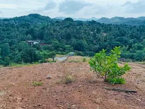 අවිස්සාවේල්ල නගරයට සමීපව අගනා නේවාසික බිම් කොටස් විකිණීමට