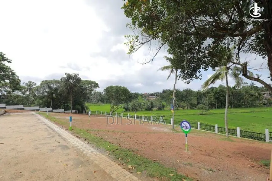 මාතර ප්‍රධාන මර්ගයෙන් වෙල් යායකට මුහුණලා ඉඩම