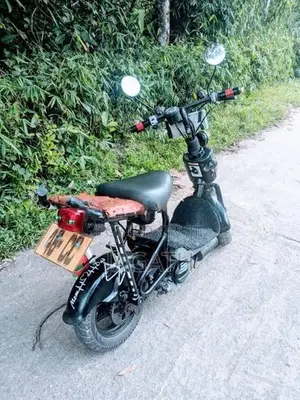 Suzuki 48cc 2022