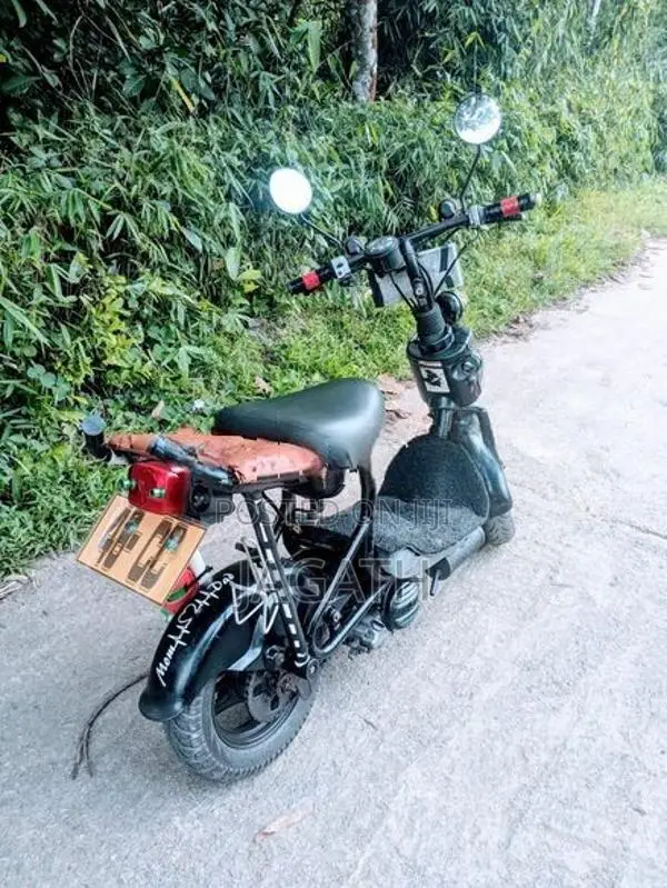Suzuki 48cc 2022