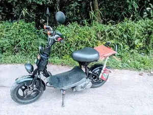 Suzuki 48cc 2022