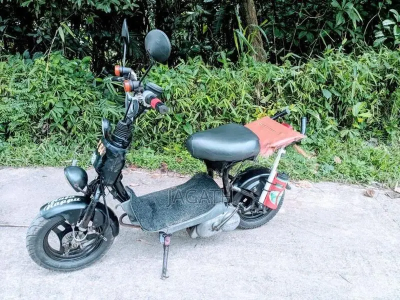 Suzuki 48cc 2022
