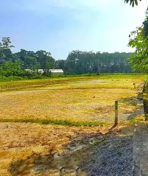 Valuable Land for Sale Minuwangoda
