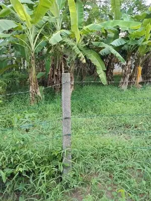 Land in Kadawatha Imbulgoda Plot 08
