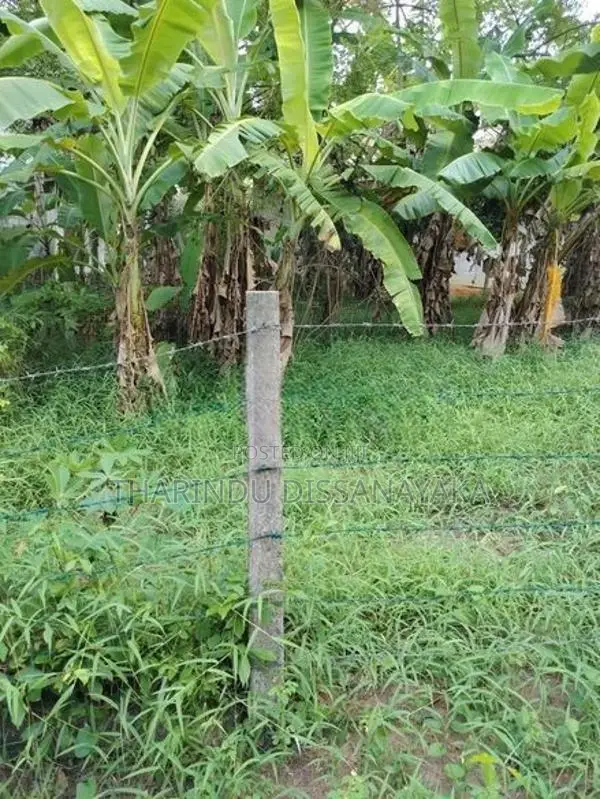 Land in Kadawatha Imbulgoda Plot 08