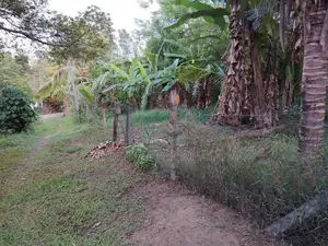 Land in Kadawatha Imbulgoda Plot 08