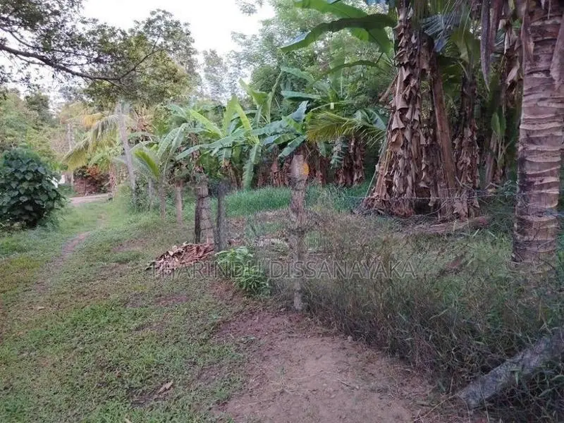 Land in Kadawatha Imbulgoda Plot 08