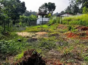 නිට්ටඹුවේ වටිනා නේවාසික ඉඩමක් විකිණීමට