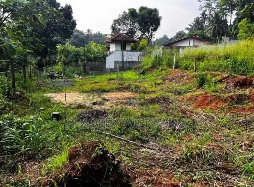 නිට්ටඹුවේ වටිනා නේවාසික ඉඩමක් විකිණීමට