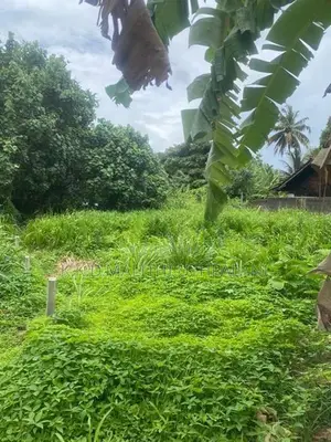 50 Perch Land for Sale Kirinda Hakmana