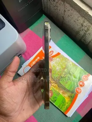 Apple iPhone 13 Pro Max (Used)