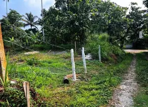 නිට්ටඹුවේ වටිනා නේවාසික ඉඩමක් විකිණීමට