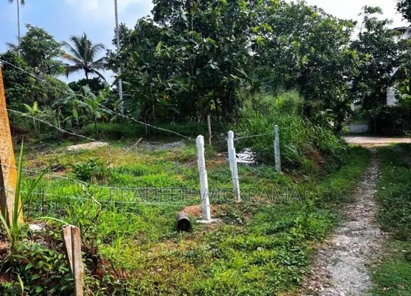 නිට්ටඹුවේ වටිනා නේවාසික ඉඩමක් විකිණීමට