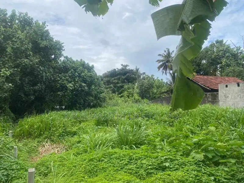 50 Perch Land for Sale Kirinda Hakmana