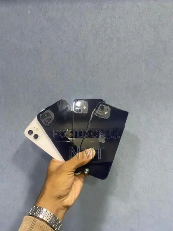 Apple iPhone 12 (Used)
