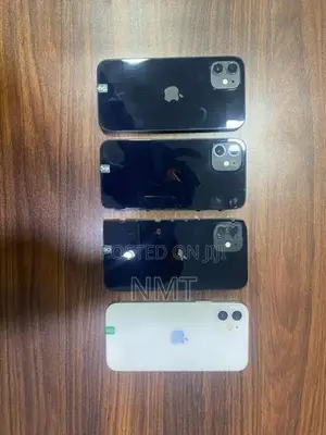 Apple iPhone 12 (Used)