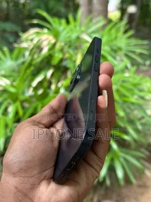 Apple iPhone 13 128GB (Used)
