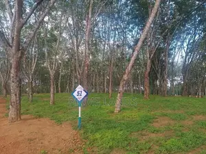 Land for Sale in Ahangama