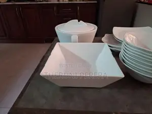 Dish set