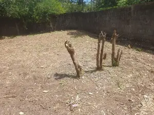 Super Land for Sale Maharagama