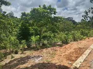 අම්බලන්ගොඩින් බිම් කොටස් විකිණීමට