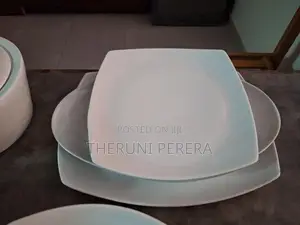 Dish set