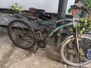 Tomahawk Mountain Bicycle