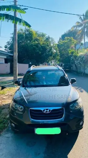 Hyundai Santa Fe 2010